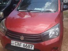 Suzuki Celerio 2015 Car