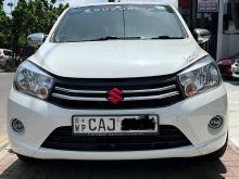 Suzuki Celerio 2015 Car