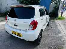 Suzuki Celerio 2015 Car