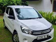 Suzuki Celerio 2015 Car