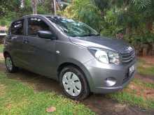 Suzuki Celerio 2016 Car