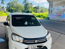 Suzuki Celerio 2014 Car