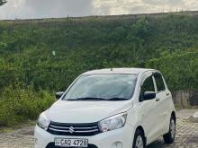 Suzuki Celerio 2016 Car