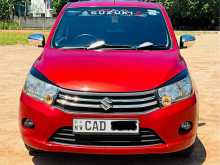 Suzuki Celerio 2015 Car