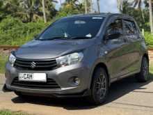 Suzuki Celerio 2015 Car