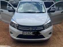 Suzuki Celerio 2014 Car