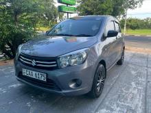 Suzuki Celerio 2014 Car