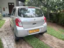Suzuki Celerio 2014 Car