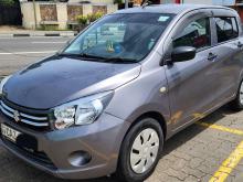 Suzuki Celerio 2015 Car