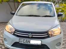 Suzuki Celerio 2015 Car