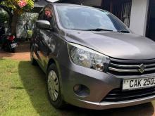 Suzuki Celerio 2015 Car