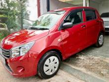 Suzuki Celerio 2015 Car