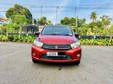 Suzuki Celerio 2014 Car