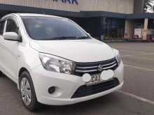 Suzuki Celerio 2015 Car