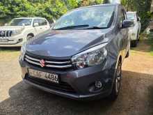 Suzuki Celerio 2013 Car