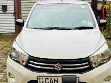 Suzuki Celerio 2015 Car