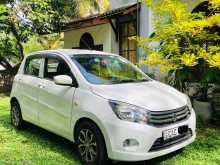 Suzuki Celerio 2014 Car
