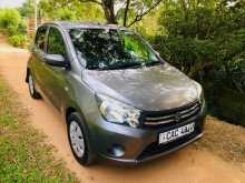 Suzuki Celerio 2014 Car