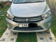 Suzuki Celerio 2014 Car