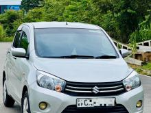 Suzuki Celerio 2015 Car