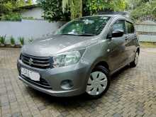 Suzuki Celerio 2015 Car