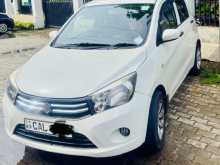 Suzuki Celerio 2015 Car