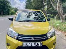 Suzuki Celerio 2015 Car