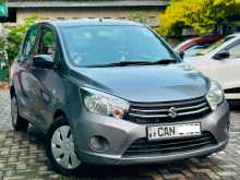Suzuki Celerio 2015 Car