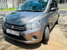 Suzuki Celerio 2015 Car