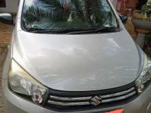 Suzuki Celerio 2015 Car