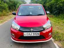 Suzuki Celerio 2015 Car