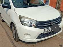 Suzuki Celerio 2015 Car