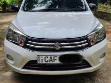 Suzuki Celerio 2015 Car