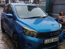 Suzuki Celerio 2015 Car