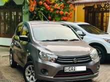 Suzuki Celerio 2015 Car