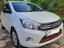 Suzuki Celerio 2016 Car