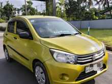 Suzuki Celerio 2015 Car