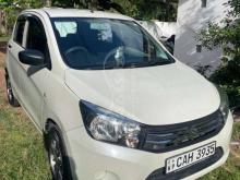Suzuki Celerio 2015 Car