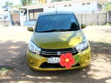 Suzuki Celerio 2015 Car