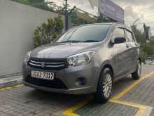 Suzuki Celerio 2015 Car