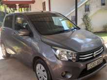 Suzuki Celerio 2015 Car