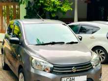 Suzuki Celerio 2015 Car