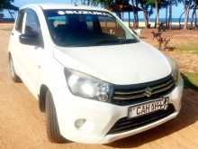 Suzuki Celerio 2015 Car