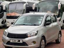 Suzuki Celerio LXI 2015 Car