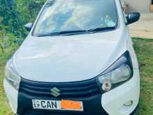 Suzuki Celerio 2015 Car