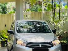Suzuki Celerio 2015 Car