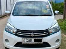 Suzuki Celerio 2015 Car