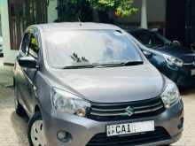 Suzuki Celerio 2015 Car