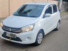 Suzuki Celerio 2015 Car