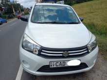 Suzuki Celerio 2015 Car